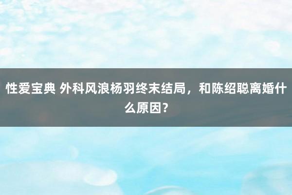 性爱宝典 外科风浪杨羽终末结局，和陈绍聪离婚什么原因？